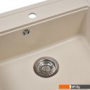 Кухонные мойки Wisent 600-30W (с сифоном GER013)