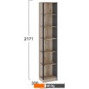 Полки, стеллажи, системы хранения Трия Окланд ТД-324.07.24 (черный/дуб делано)