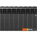 Радиаторы отопления Royal Thermo BiLiner 350 Noir Sable (8 секций)