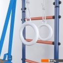 Детские спортивные комплексы и игровые площадки Polini Kids Sport Neo враспор (лазурный)