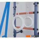 Детские спортивные комплексы и игровые площадки Polini Kids Sport Turbo (розовый)