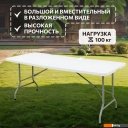 Кемпинговая мебель National Tree Company СТ-1 DS-796 (белый)