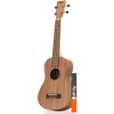 Гитары Hampi TBR