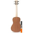 Гитары Hampi TBR