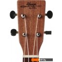 Гитары Hampi TBR