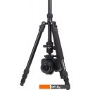 Штативы и стабилизаторы для фото-, видео- и световой техники Raylab Pro 75 (с головой)