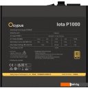Блоки питания Ocypus Iota P1000 Iota-P1000-G1FFBK024X-EU