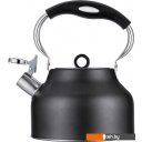 Чайники Regent Inox 93-TEA-49