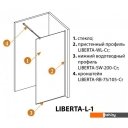 Душевые кабины Cezares LIBERTA-L-1-95-C-NERO