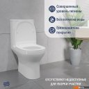 Унитазы Lauter W246 2110246