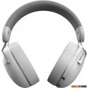 Наушники и гарнитуры Dark Project HS5 V2 (белый)