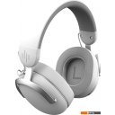 Наушники и гарнитуры Dark Project HS5 V2 (белый)