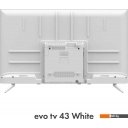 Телевизоры Evo TV 43 White TD0051750RU
