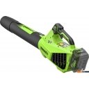 Воздуходувки Greenworks G24BIII 2409607 (без АКБ)
