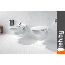 Унитазы Roca Victoria 734630300R