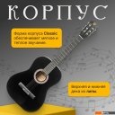 Гитары ROKSO FT-C-B39-BK