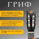 Гитары ROKSO FT-C-B39-BK