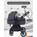 Детские коляски и аксессуары Rant Basic Roller RA161 (2 в 1, grey)