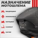 Мотошлемы LS2 FF805 Thunder C GP Pro Fim (2XL, черный матовый)