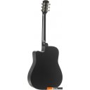 Гитары ROKSO FT-221-BK