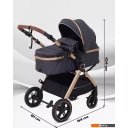 Детские коляски и аксессуары Rant Basic Roller Gold RA161 (2 в 1, grey)