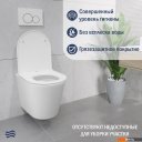 Унитазы Lauter Longer 2110822