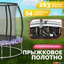 Батуты Sundays Favorite Premium 10FT (смайл, с сеткой, с лестницей)