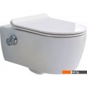 Унитазы SSWW CT2039V-B