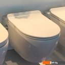 Унитазы SSWW CT2039V-B