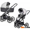 Детские коляски и аксессуары Expander Exeo (2 в 1, 01 silver)