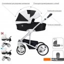 Детские коляски и аксессуары BEBETTO Torino (2 в 1, 01, белая рама)