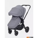 Детские коляски и аксессуары Rant Flex RA078 (серый)