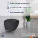 Унитазы Lauter Augsburg с жестким сиденьем Soft Close 21109EC (черный матовый, скрытое крепление)