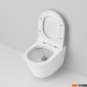 Унитазы Ambassador Ritz 233K19003RS