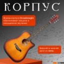 Гитары ROKSO FT-221-3TS