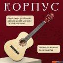 Гитары ROKSO FT-C-B39-N