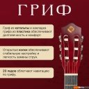 Гитары ROKSO FT-C-B39-N