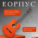 Гитары ROKSO FT-C-B39-Orange