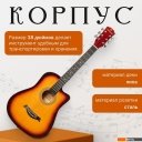 Гитары ROKSO FT-D38-3TS