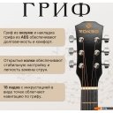 Гитары ROKSO FT-D38-BK