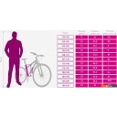 Велосипеды ARENA Crystal 26 2025 (фиолетовый, разобранный)