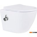 Унитазы Roxen Antares 530185-01X Rimless Soft Close с функцией биде