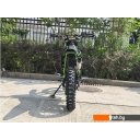 Мотоциклы AVM BisonX 250 (зеленый)