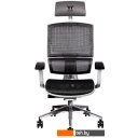 Офисные кресла и стулья Thermaltake CyberChair E500 GGC-EG5-BWLFDM-01 (серый)