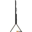 Телевизоры Skyworth 100Q79H