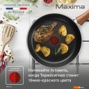 Сковороды Tefal Maxima 04228122