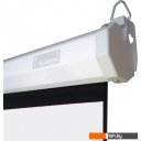 Проекционные экраны PL Magna MWM-NTSC-145D