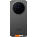 Мобильные телефоны Vivo X300 V2515 16GB/512GB международная версия (черный)