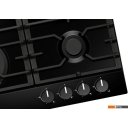 Варочные панели Hansa BHGS611839