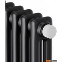 Радиаторы отопления Royal Thermo Insignia VC2180 - 08 секций RAL9005m